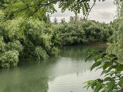 -贵阳市花溪国家城市湿地公园