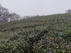 -南京市江宁方山