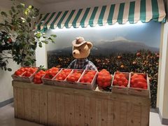 -济州岛泰迪熊博物馆