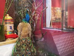 -兰纳泰式spa(古城店)