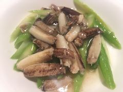 -新光酒家·河豚·海鲜·蟹料理(浦东店)