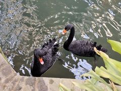 -南宫五洲植物乐园