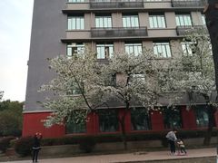 -四川大学(望江校区)