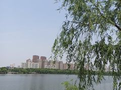 -长白岛森林公园