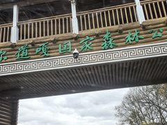 -莫尔道嘎国家森林公园