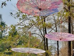 -人民公园(罗湖区)