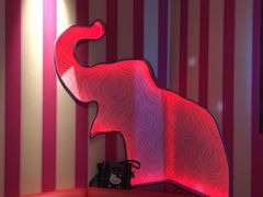 -米乐星世界KTV