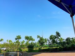 -东北农业大学