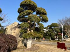 -武汉紫薇都市田园