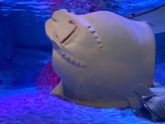 -沈阳海洋探索中心