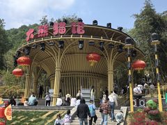 -栾川竹海野生动物园