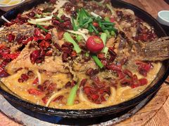 -老板恋上鱼(高新万达店)