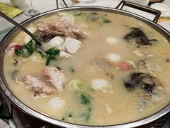 -丁老爷子苏香圆