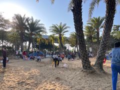 -宝安西湾红树林湿地公园