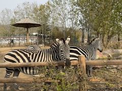 -大连森林动物园