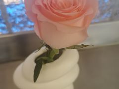 -王家渡火锅店(棕榈泉店)