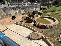 -无锡动物园·太湖欢乐园