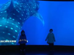 -同济大学四平路校区深海探索馆