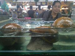 响螺-班赞海鲜市场