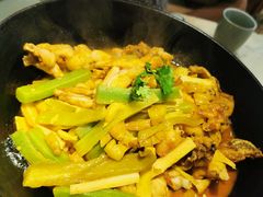 湘西霸王蛙-望湘园·湖南菜(宏伊店)