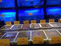 骏莱海鲜鱼港(五角场旗舰店)-骏莱海鲜鱼港(五角场店)
