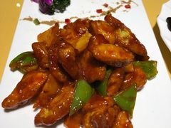 -素虎小呆鸟(西二旗店)