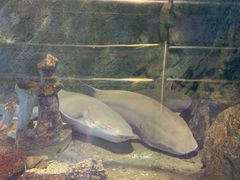 -太平洋海底世界