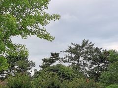 -悦海公园