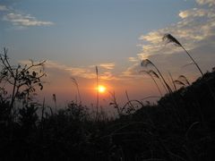 -东澳岛