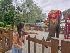 -云南民族村
