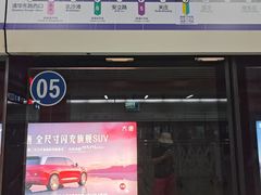 -望京西(地铁站)