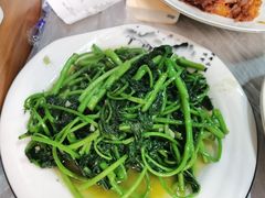 清炒苕尖-大隐隐于市私房菜(保和小区店)