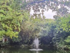-广州兰圃