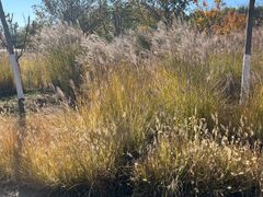 -回龙观体育文化公园