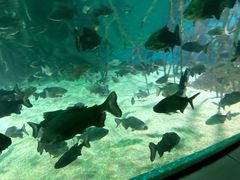 -福州罗源湾海洋世界旅游区