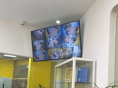 -贝乐少儿英语·全外教(滨江中心)