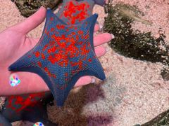 -沈阳海洋探索中心