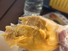 -榴莲BB 四季果园