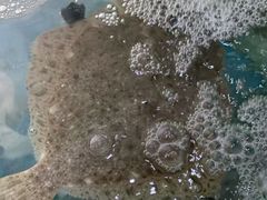 -雅逸居海鲜小厨