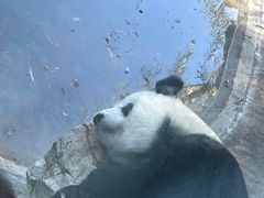 -沈阳森林动物园