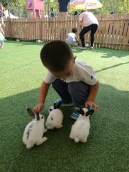 -萌宠亲子动物乐园(槐房万达店)