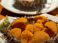 -桂马·日本料理·海胆·海鲜饭·酒场(民主广场店)