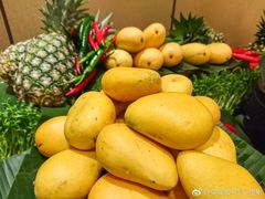 -酌宴府The China Club·广州万富希尔顿酒店(云城东路店)