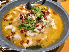-龙梅肥肠鱼(明瓦廊店)