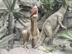 -国家自然博物馆