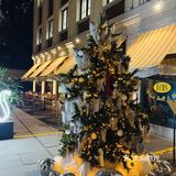 愚园路弄堂里必打卡的圣诞树🎄