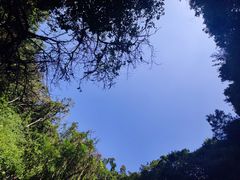 -海口火山口国家地质公园