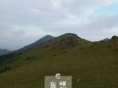 -大姆山草场