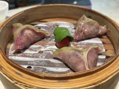 -点都德·毕德寮