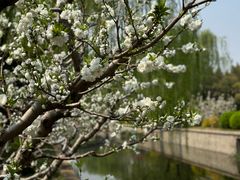 -元大都城垣遗址公园